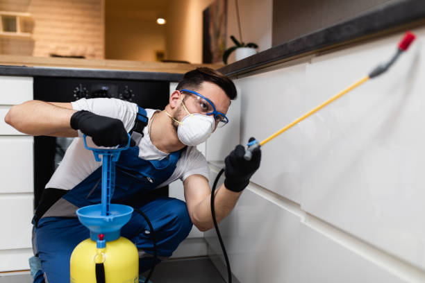 Best Emergency Pest Control  in Crofton, MD