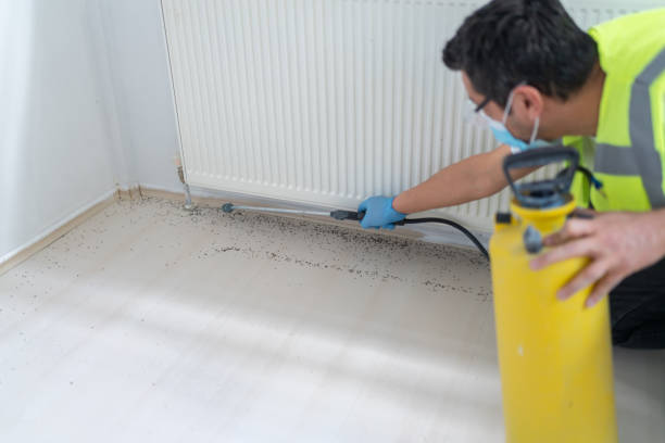 Best Pest Control Cost  in Crofton, MD